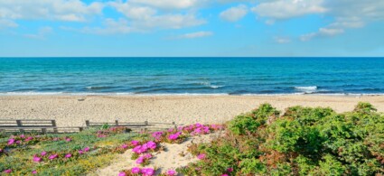 Platamona